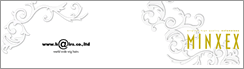 MINXEX